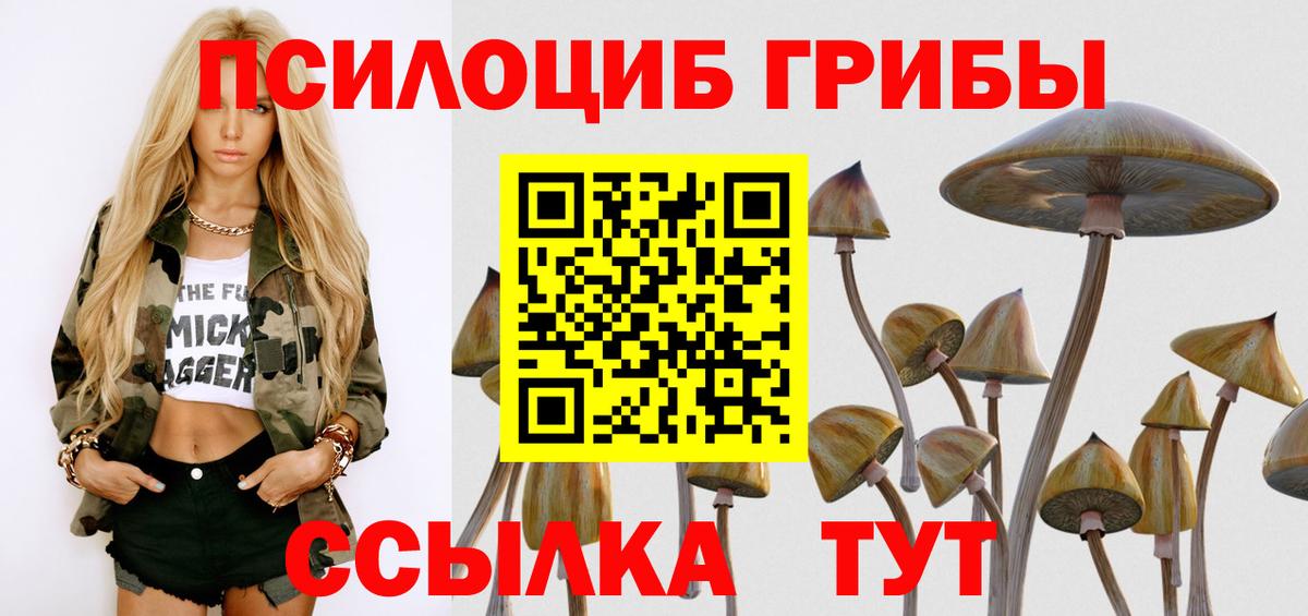 Псилоцибиновые грибы MAGIC MUSHROOMS  Вход с VPN  Гусиноозёрск 